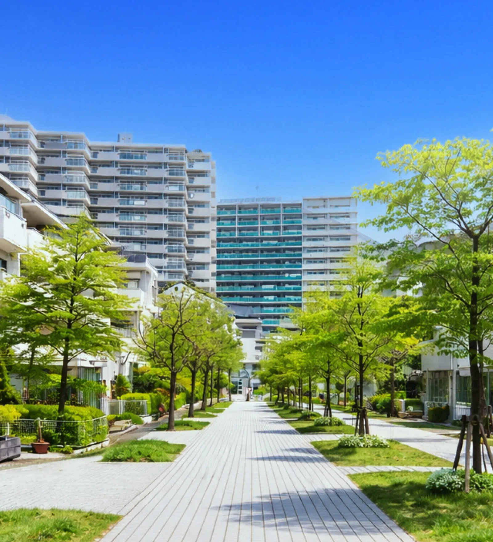 マルモ株式会社